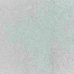 ORGANIC AMINOPOWER 80% SABOR VAINILLA ECO A GRANEL