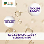 PROTEINA DE LEVADURA NUTRICIONAL SABOR VAINILLA