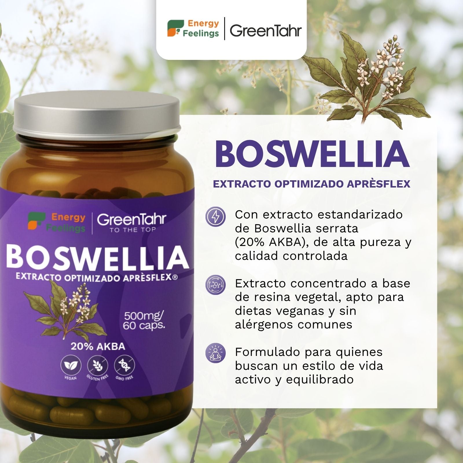 BOSWELLIA biodisponible - 60 cápsulas
