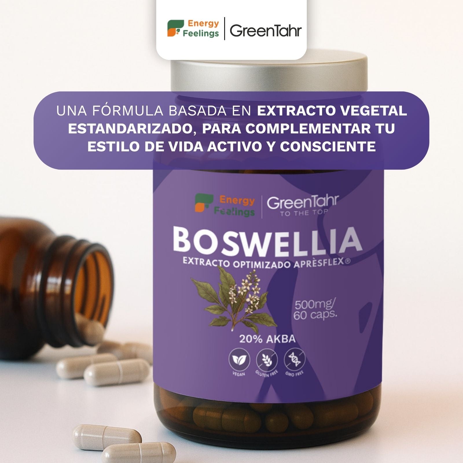 BOSWELLIA biodisponible - 60 cápsulas