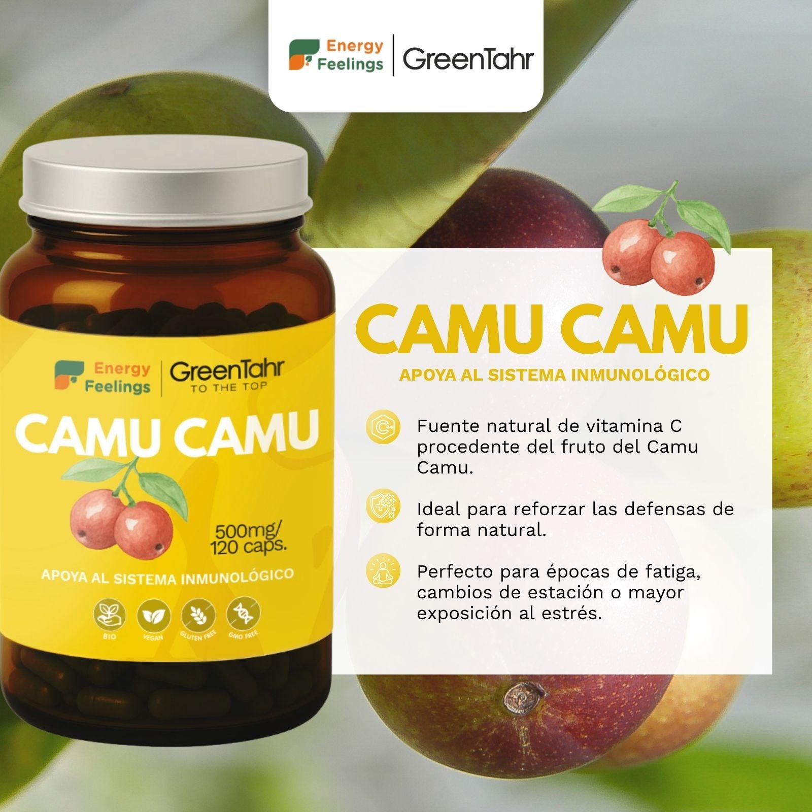 CAMU CAMU ECO biodisponible - 120 cápsulas