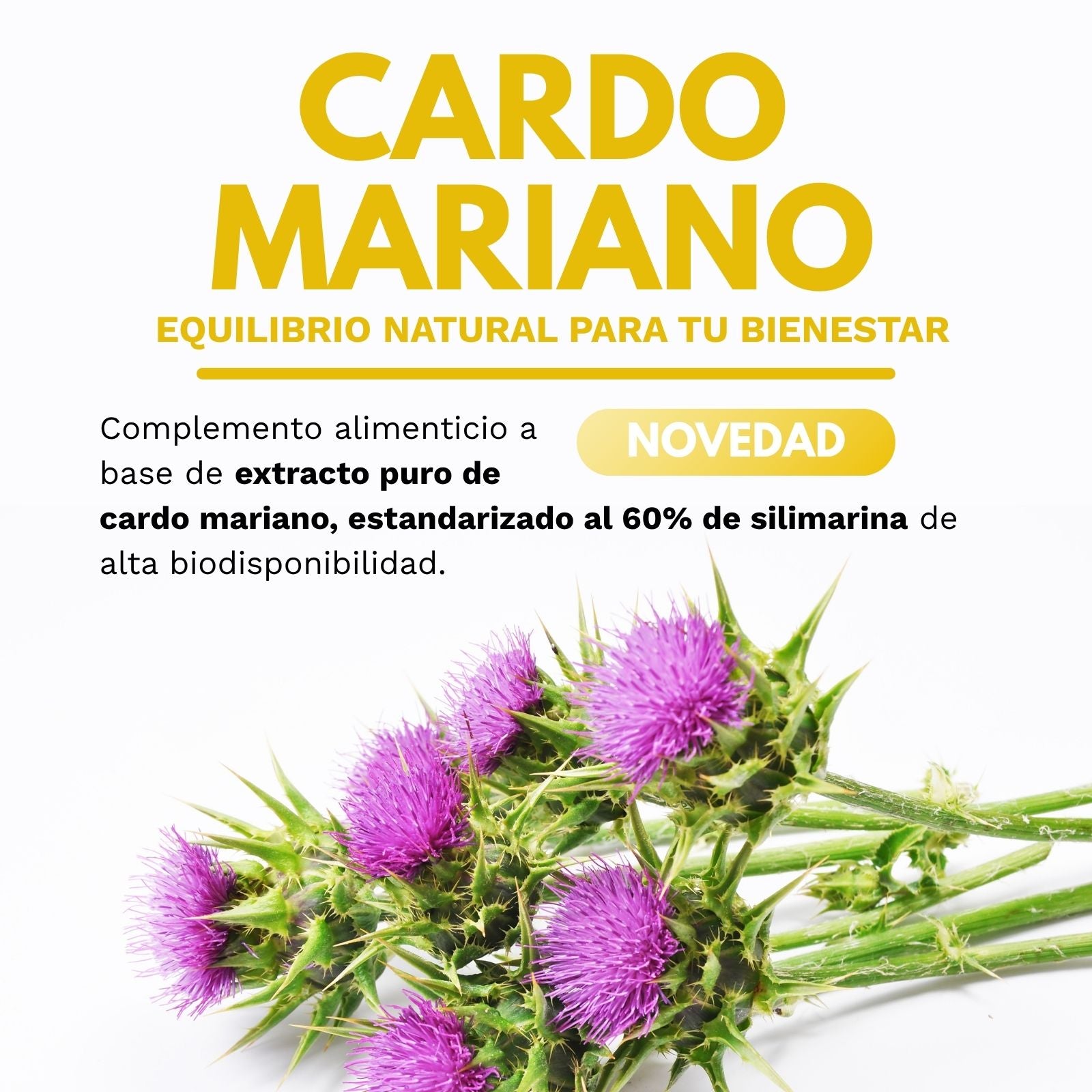 CARDO MARIANO biodisponible - 60 cápsulas