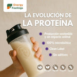 PROTEÍNA DE LEVADURA NUTRICIONAL SABOR BANANA - 500g