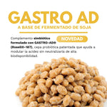 GASTRO AD biodisponible - 90 cápsulas