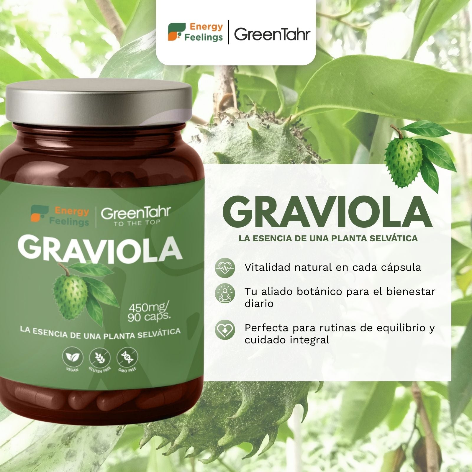 GRAVIOLA biodisponible - 90 cápsulas