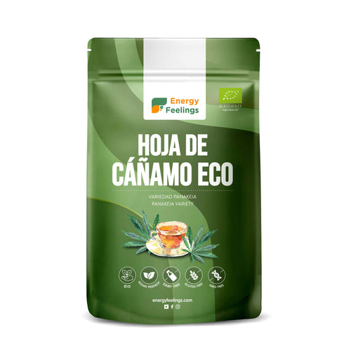 HOJASDECANAMOECO-front_8436565927346_786206f3-af87-48bd-b9a7-b763d10c11af
