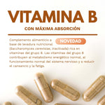 VITAMINA B biodisponible - 90 cápsulas