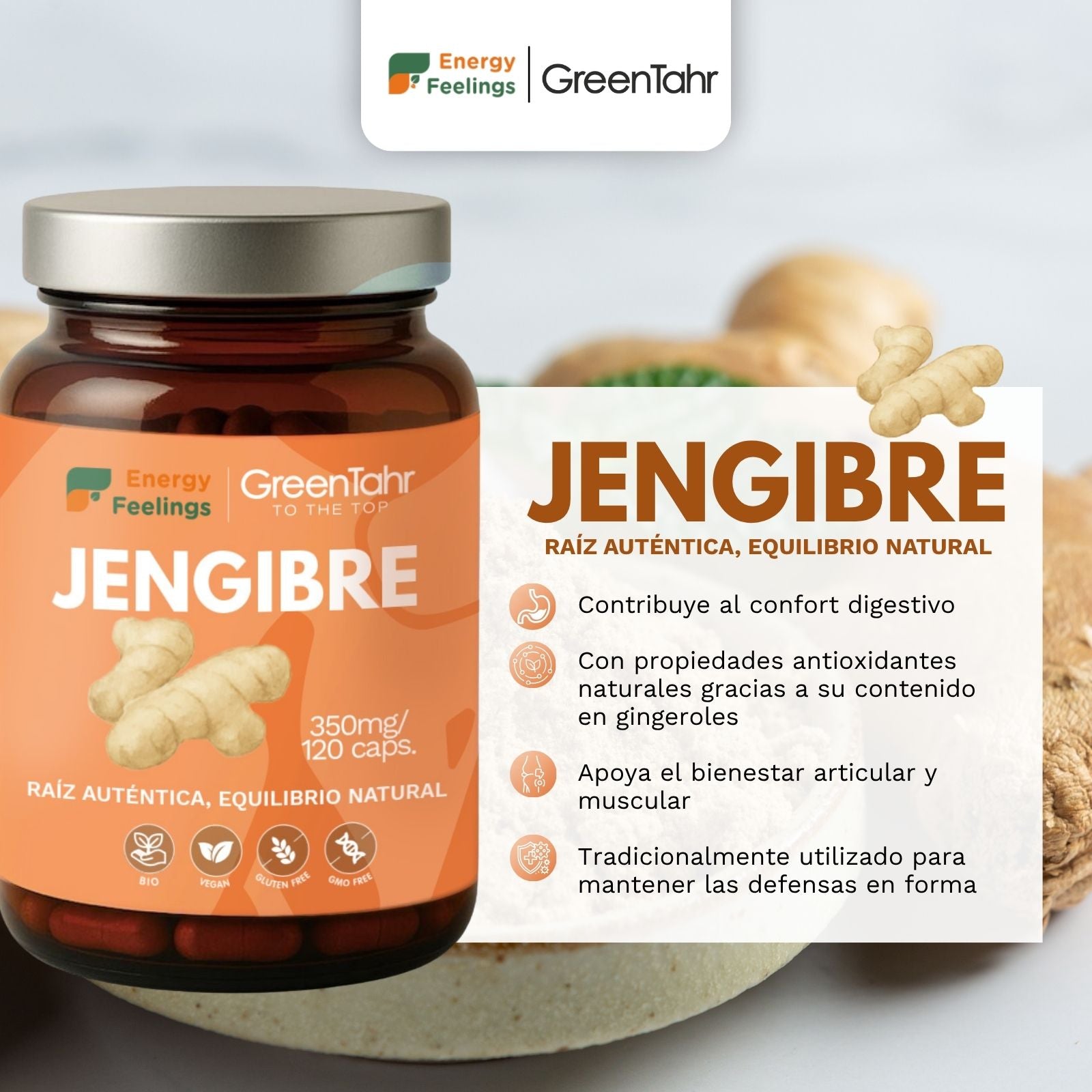 JENGIBRE ECO biodisponible - 120 cápsulas