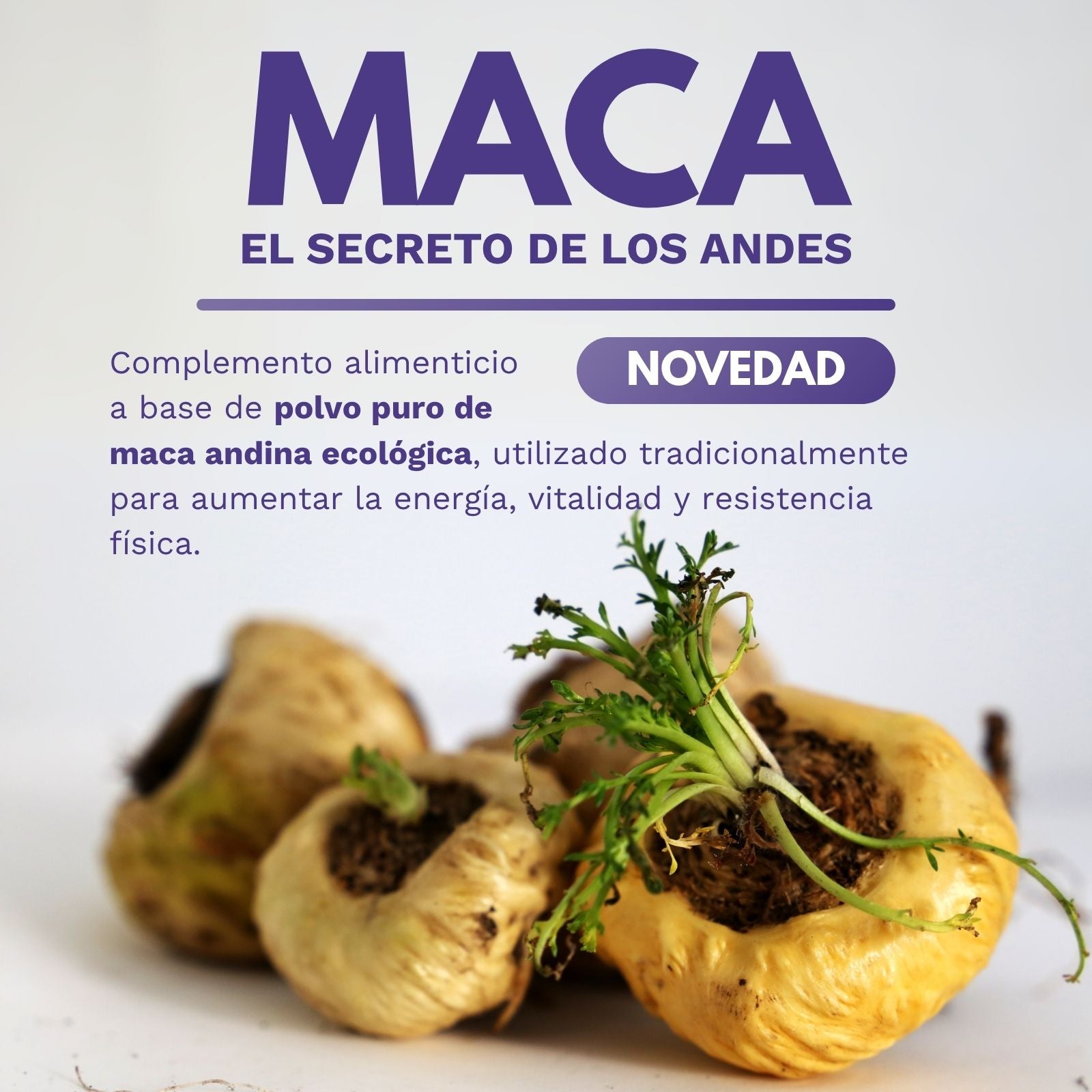 MACA ANDINA ECO biodisponible - 120 cápsulas
