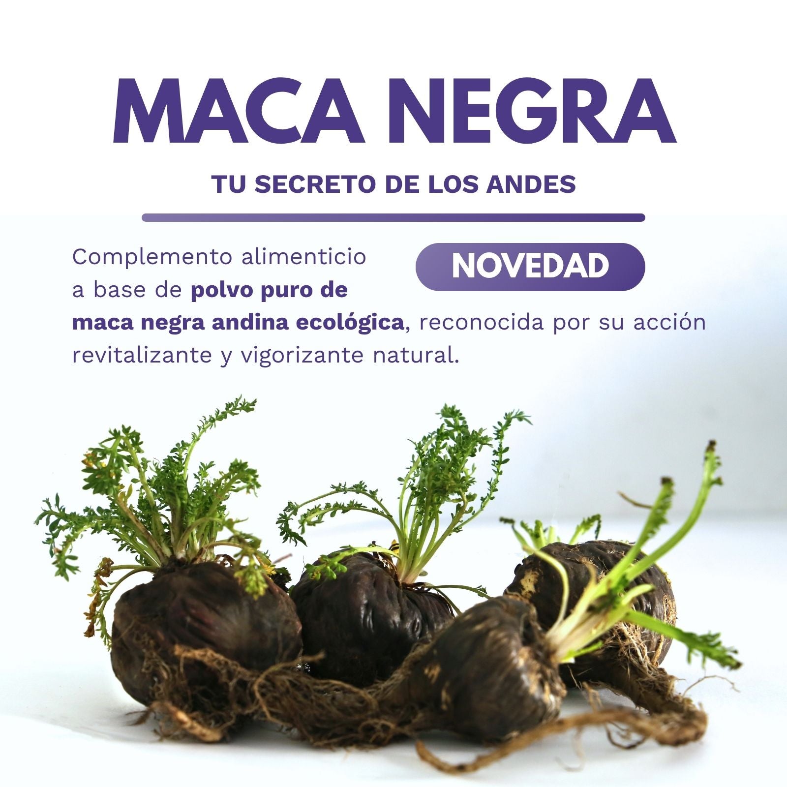 MACA NEGRA ECO biodisponible - 120 cápsulas
