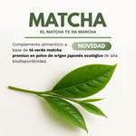 MATCHA ECO biodisponible - 90 cápsulas