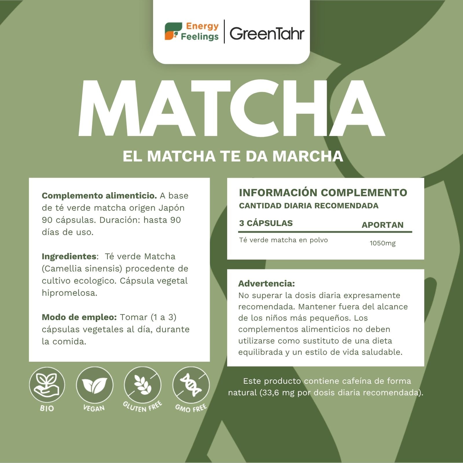 MATCHA ECO biodisponible - 90 cápsulas