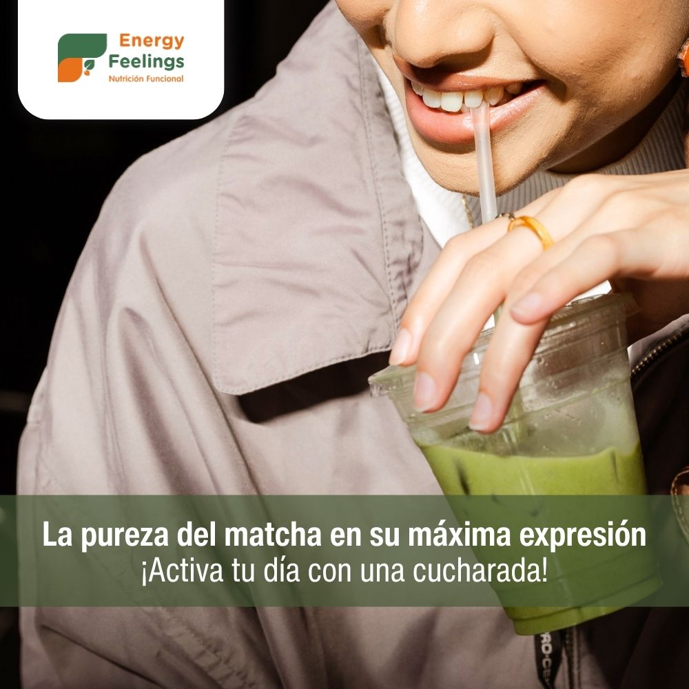 TÉ MATCHA GRADO PREMIUM ECO