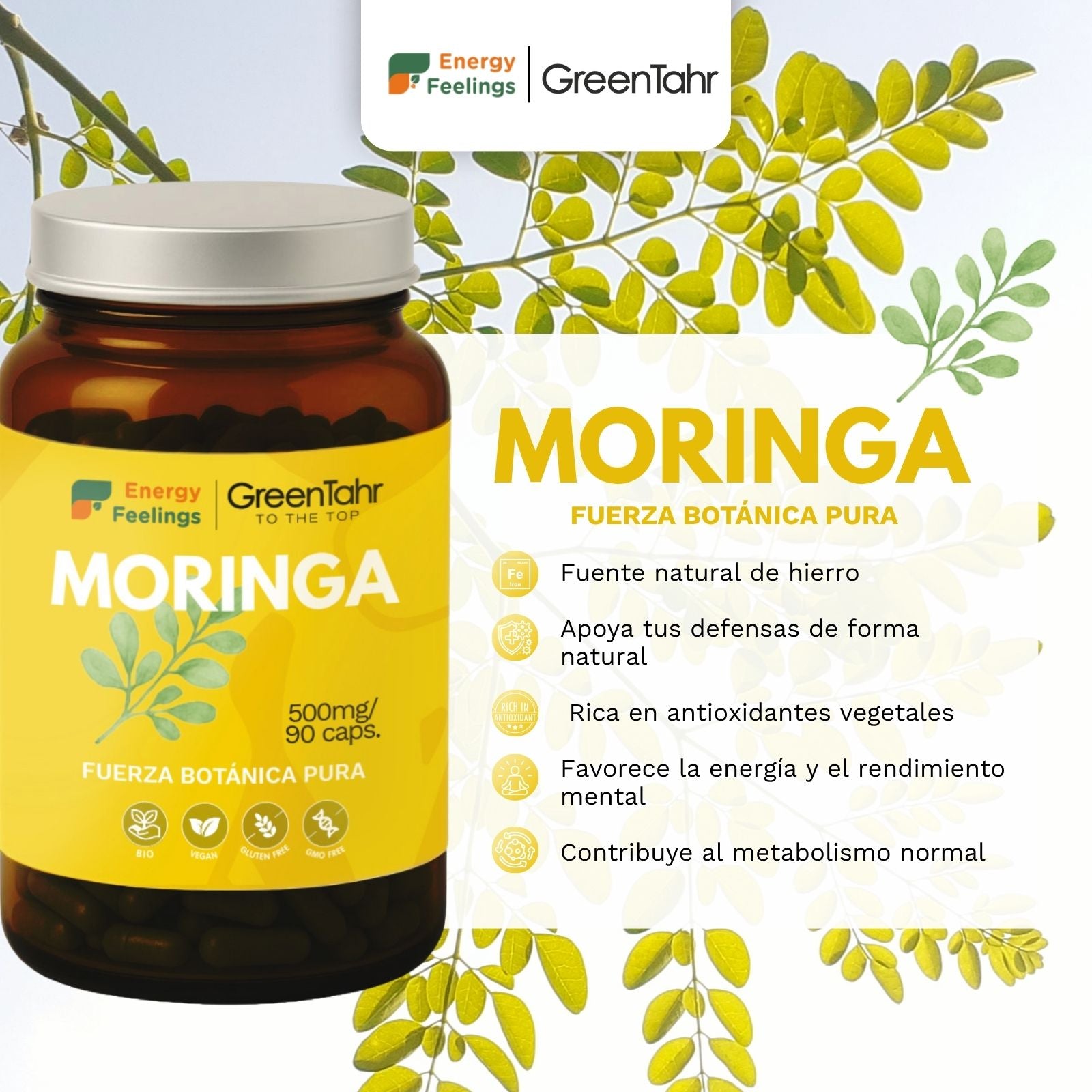 MORINGA ECO biodisponible - 90 cápsulas