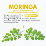 MORINGA ECO biodisponible - 90 cápsulas