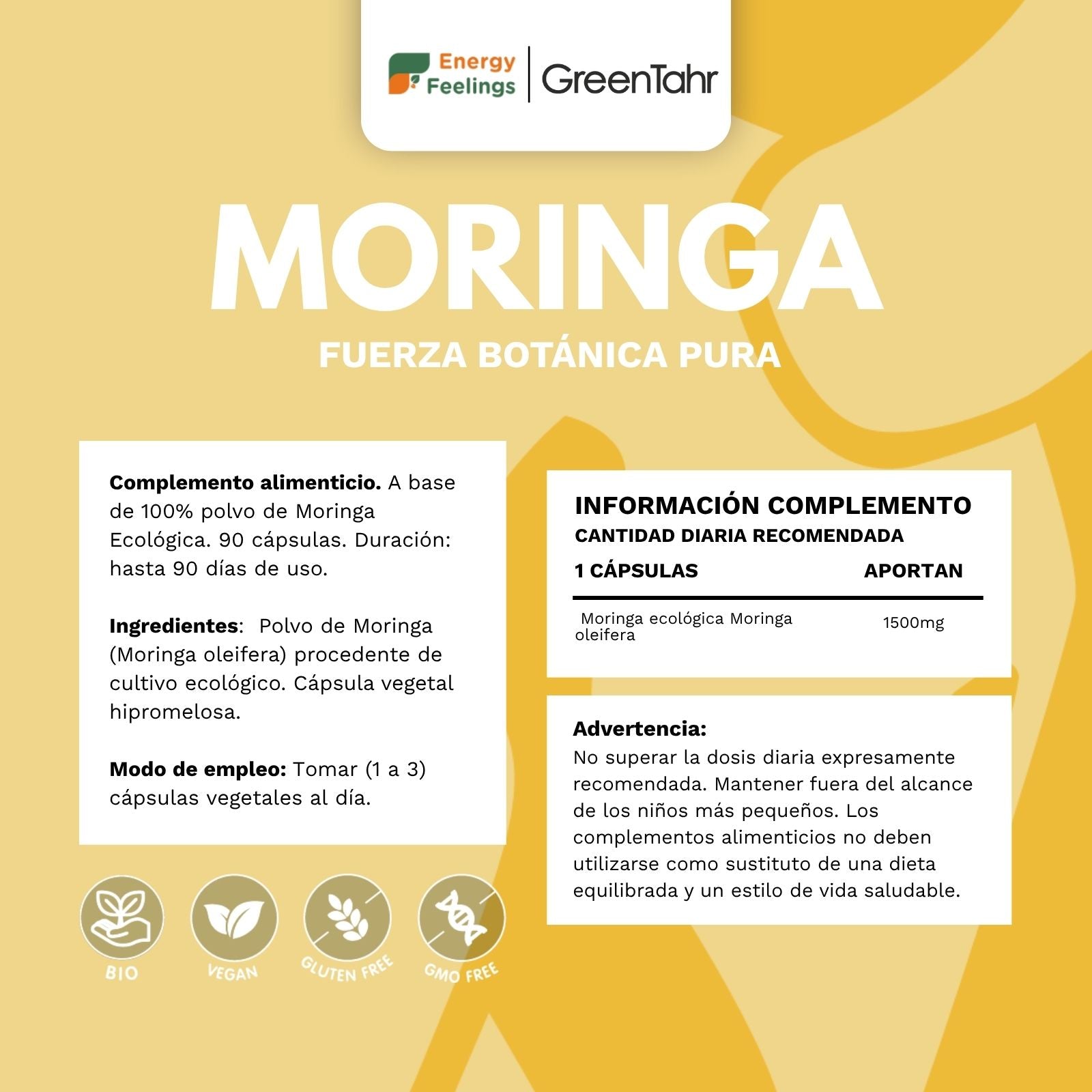 MORINGA ECO biodisponible - 90 cápsulas