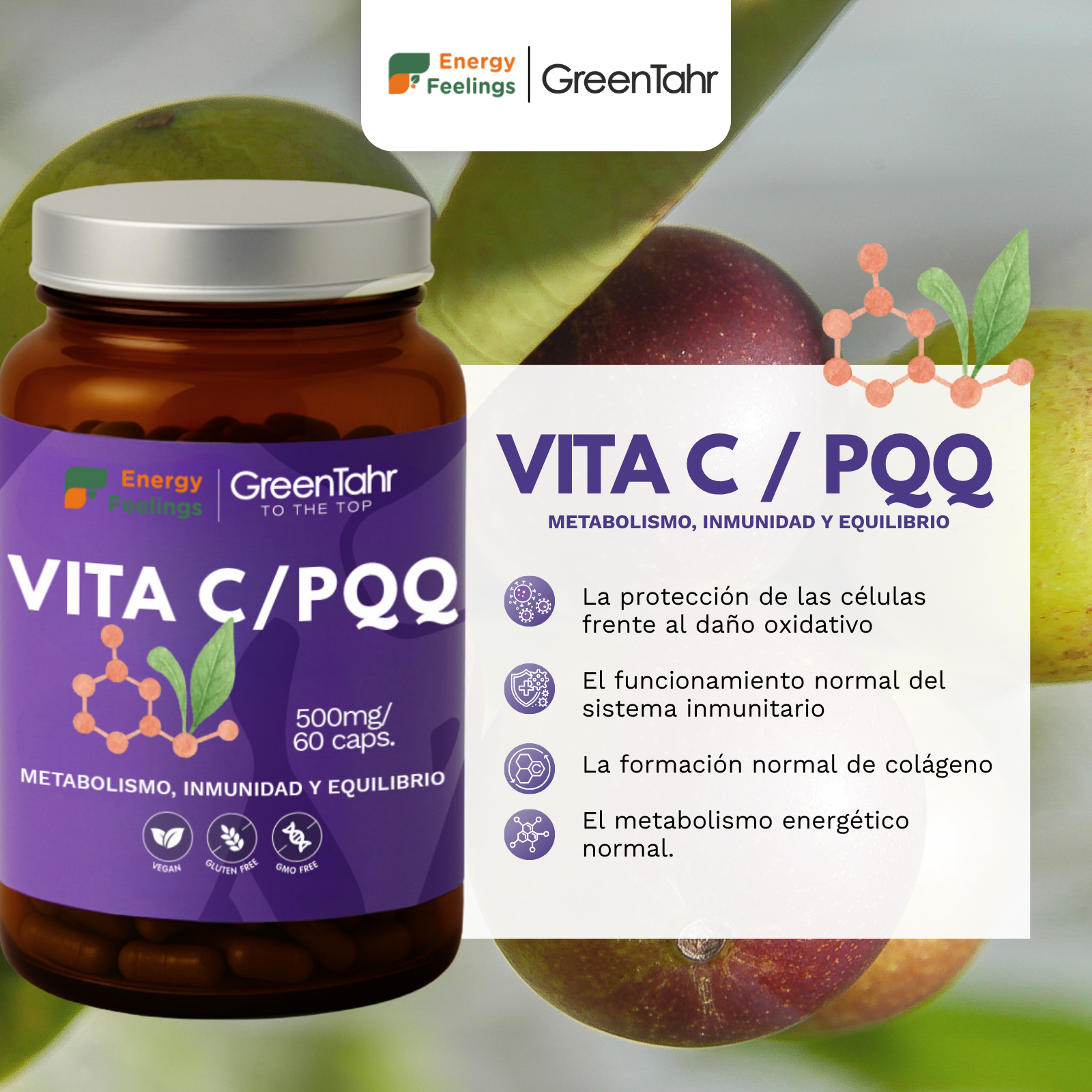 PQQ + VITAMINA C biodisponible - 60 cápsulas