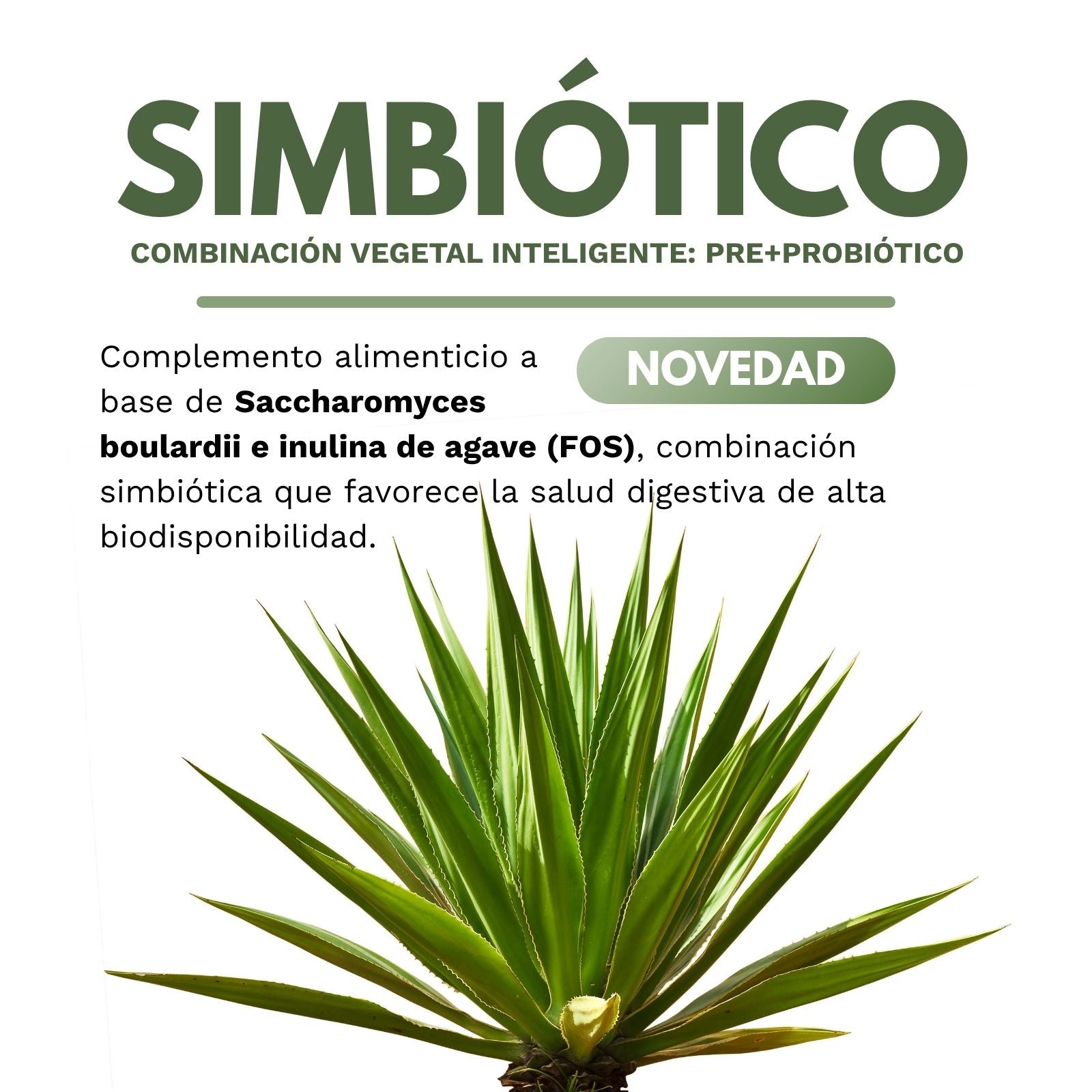 SIMBIÓTICO (S.Boulardii + Inulina) biodisponible - 120 cápsulas