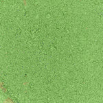 MORINGA EN POLVO ECO A GRANEL